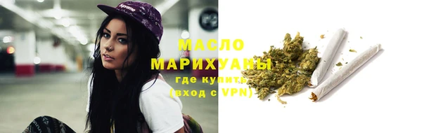 mix Богородицк