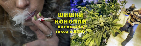 mix Богородицк